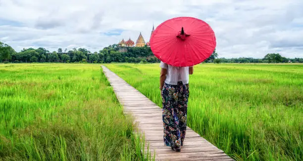 Photo of Woman traveller hiking Asian rice field landscape.