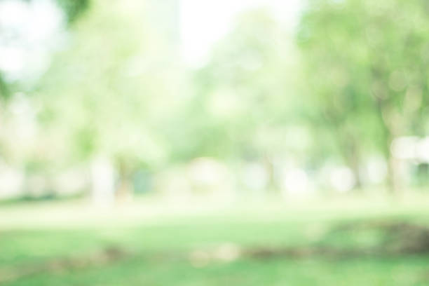 istock green blurred backdrop of nature, circle light wallpaper, white bokeh background 994652520