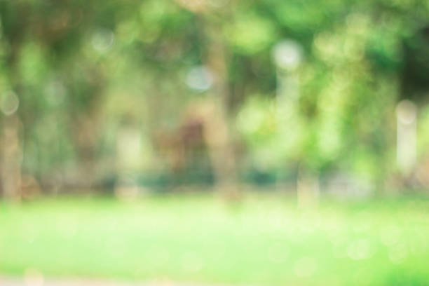 istock green blurred backdrop of nature, circle light wallpaper, white bokeh background 994652600