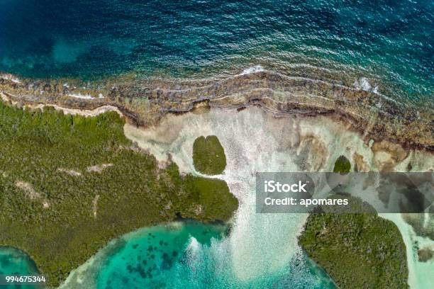 Aerial View Of A Mangrove Forests Among Cays And Shallow Turquoise Waters In The Caribbean Sea Stock Photo - Download Image Now