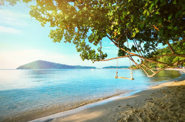 A tree with a swing on the shore of a tropical beach. A gentle dawn on the sea shore. Relax in the journey. A tree with a swing on the shore of a tropical beach. A gentle dawn on the sea shore. Relax in the journey koh chang stock pictures, royalty-free photos & images