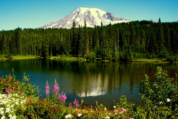istock Mount Rainier National Park, Reflection Lake, Washington, US 994682874