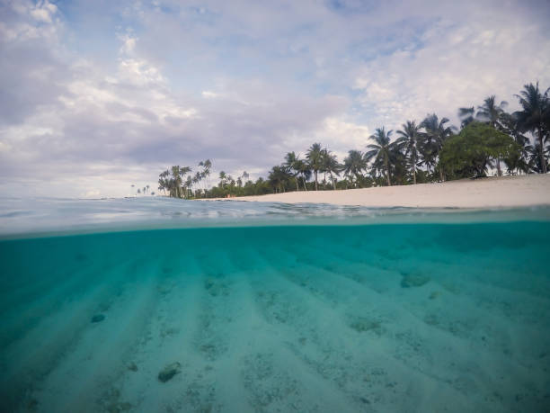 istock Half and half split scross section of clear sea and empty beach with palm trees at Matautu, Lefaga, Upolu Island, Samoa, South Pacific 994715810