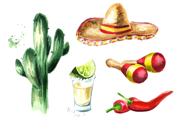 illustrations, cliparts, dessins animés et icônes de ensemble du mexique. cactus, chapeau sombrero, maracas, piment rouge, verre de tequila à la lime et le sel. illustration aquarelle dessinés à la main, isolée sur fond blanc - party hat drink cocktail illustration and painting