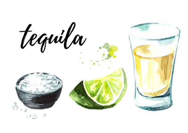 데 킬 라 석 회와 소금 세트 총. 손으로 그린 수채화 그림, 흰색 배경에 고립 - shot glass mexican culture lime alcohol stock illustrations