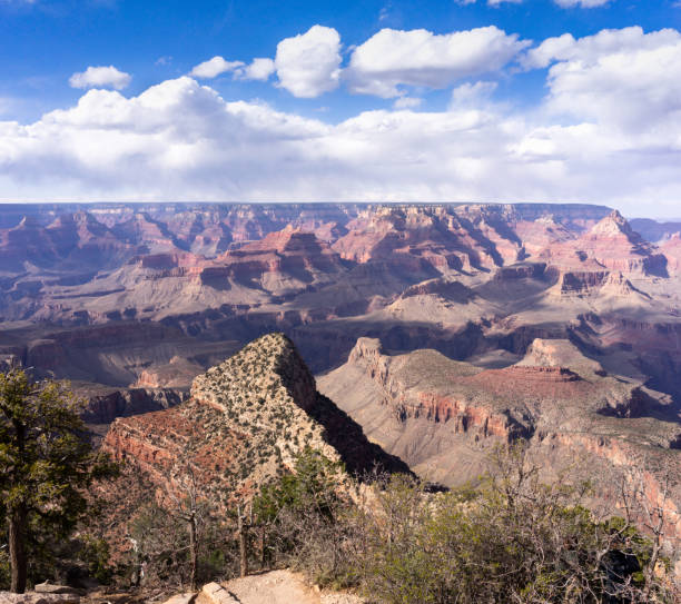 istock Grand Canyon view at Grandview Point 994727946