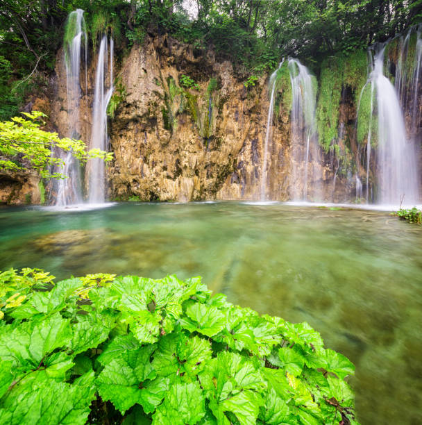 istock Plitvice Lakes National Park, Croatia 994740502
