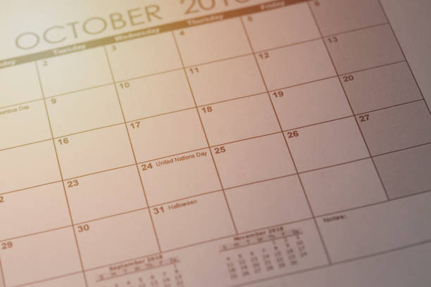 United Nations Day 2019, Thursday, October 24. United nations day in selective focus on October 2019 calendar. Toned image.