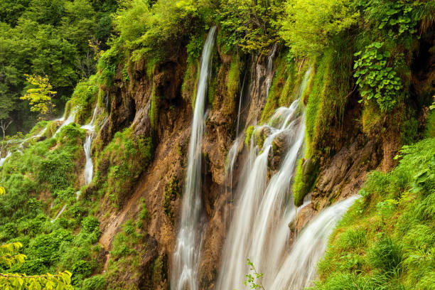 istock Plitvice Lakes National Park, Croatia 994743178