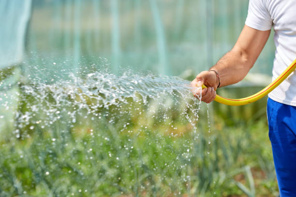 istock Farmer watering the plants 994743330