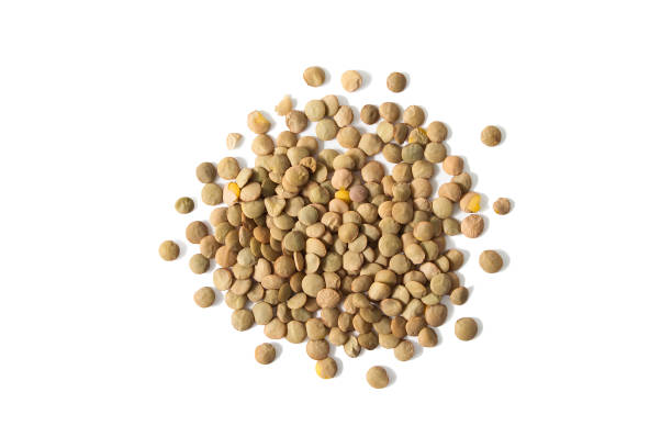 Lentils from above Isolated stack of uncooked lentils on white background from above. lentil photos stock pictures, royalty-free photos & images
