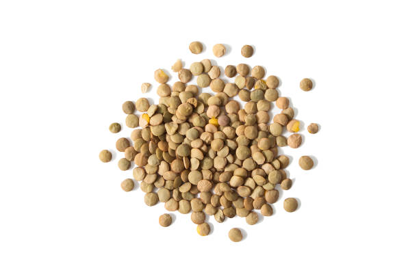 lentils from above - lentil imagens e fotografias de stock