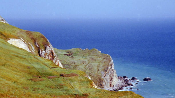 도 싯 영국 영국 leica 카메라와 35mm 컬러 필름에 총 장애물 문 위에 싯 코스트 경로에서 조회 - coastline dorset footpath durdle door 뉴스 사진 이미지