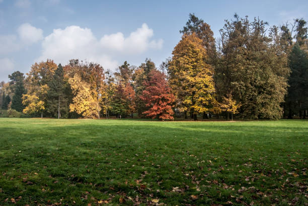 istock autumn landscape with meadow, colorful trees and blue sky with clouds 994764874
