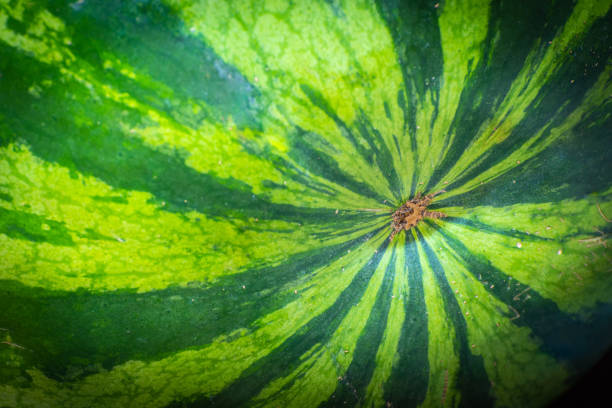 istock Closeup on a ripe watermelon 994770176