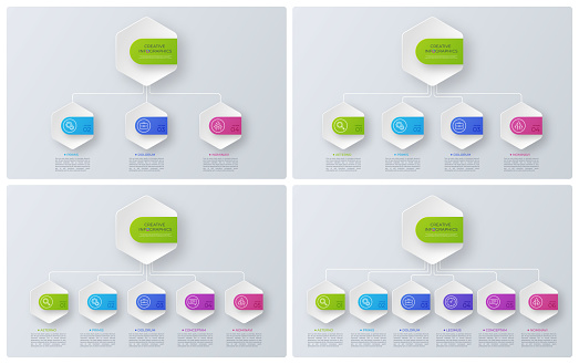 Style Structure Modern Style Structure Charts Infographic Designs Visualizatio Stock ...