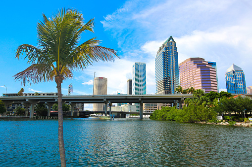 Tampa skyline on river