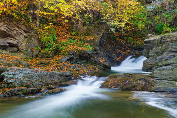 istock Autumn Landscape with a mountain river and waterfalls 994778576