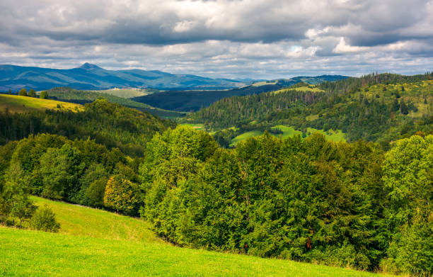 istock forested hills of Carpathian mountains 994789384