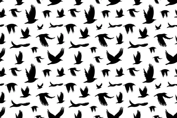 Vector illustration of Seamless pattern with  flock of birds.