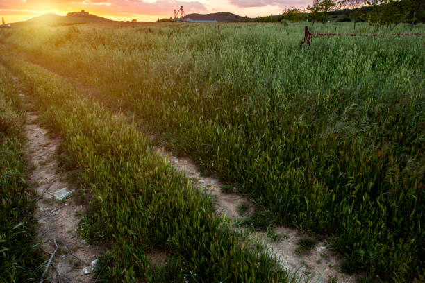istock Dirt track leading uphill to cloudy orange sunset 994820704