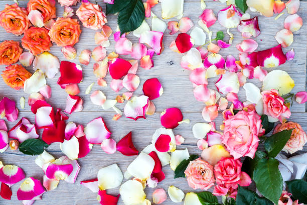 istock Natural colorful roses background on wooden 994829428