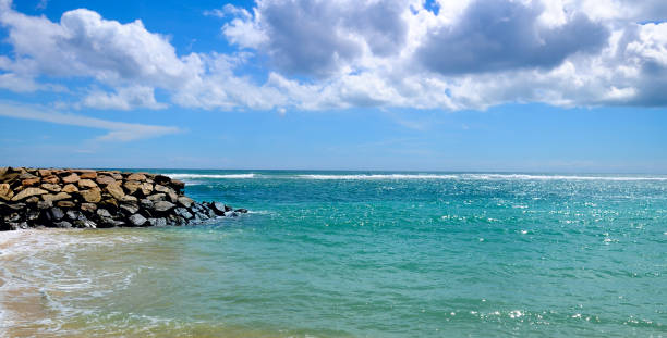 istock Deserted sandy beach of the Indian Ocean. 994829578