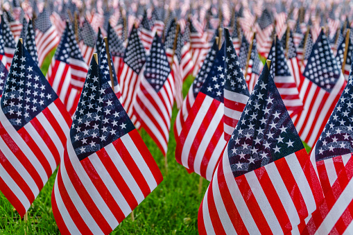 Close-up view of field of hundreds of American flags