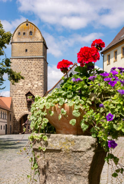 istock Historic city gate of Sesslach 994838008
