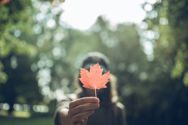 Photo of Woman Hand Holding Red Maple Leaf in a Canadian park
