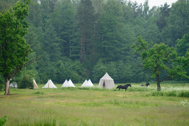 istock forest landscape with horse 994844586
