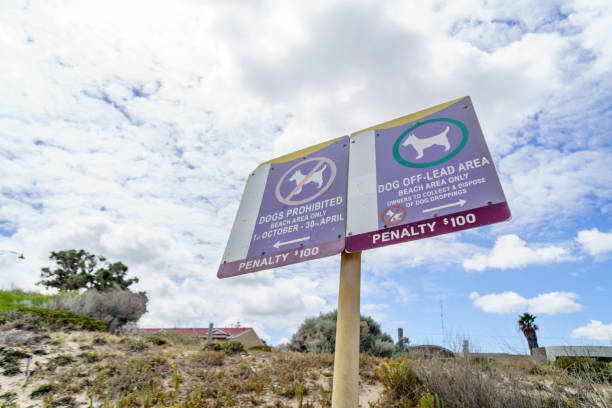 istock Dog warning sign at the beach 994844724
