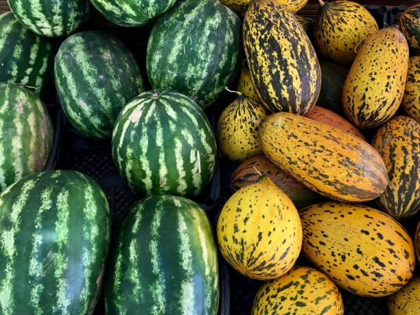 istock Close-Up Melons and Watermelons in a Market. 994845616