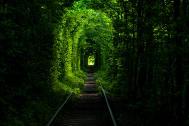 istock unnel of Love 994857446