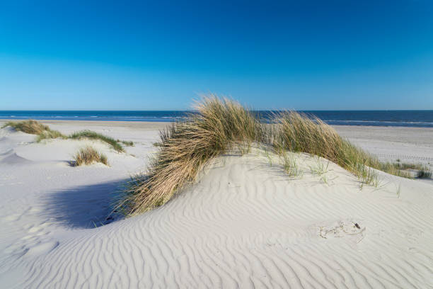 Taken in Spiekeroog, East Frisian Islands, East Frisia, German North sea Region, Lower Saxony, Germany, Europe