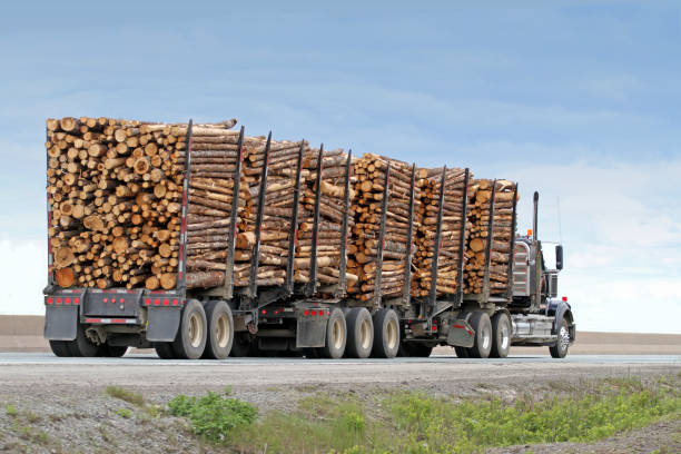 istock Semi Truck Hauling Logs On The Highway 994863778