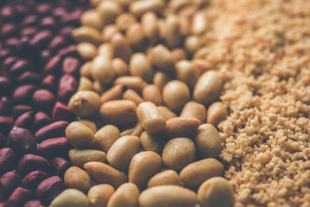 Crushed peanuts or mungfali powder with whole and roasted groundnut. Served in a bowl over moody background. Selective focus