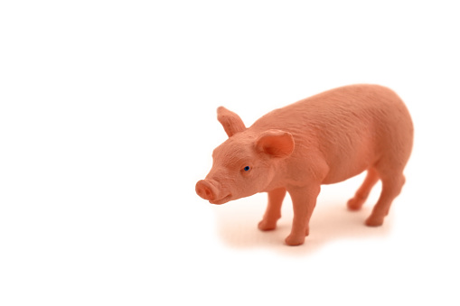 Pink pig isolated on white background. Piggy baby toy. Pig figurine stock images