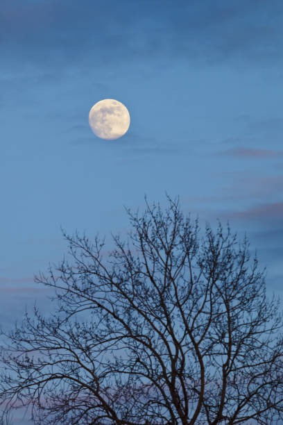 istock A ghostly wooden silhouette on the moon's background. 994875816