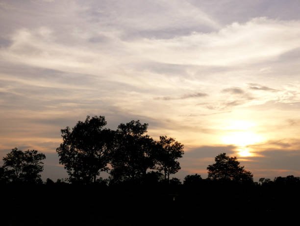 istock Beautiful Sunset, sunlight and tree field landscape in the evening. 994881282