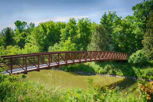 istock Bridge across the small river in park 994881560