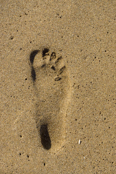 istock footprint in golden sand, corfu, greece 994881968