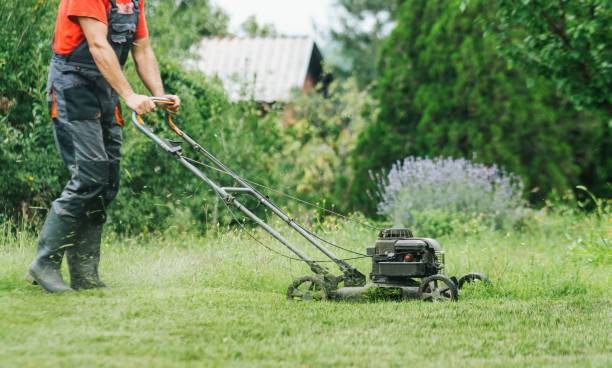 istock Man cutting grass in the garden with the lawnmower 994898496
