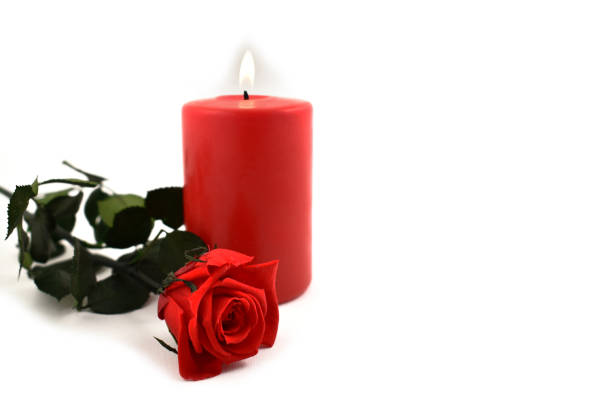 Red candle with red roses. Romantic roses on a white background