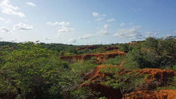istock landscape in kenya 994903026