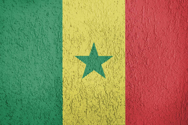 Texture of Senegal flag on the wall of relief plaster.
