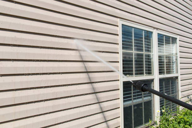 Power washing. House wall vinyl siding cleaning with high pressure water jet. stock photo