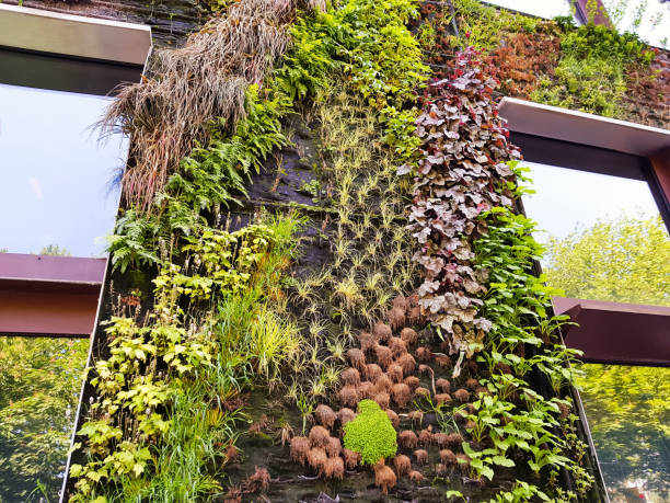 istock Green wall of a modern building. Wall with plants. 994940714