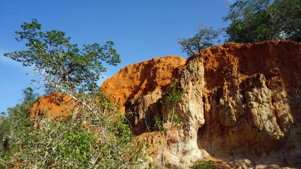 istock landscape in kenya 994943950