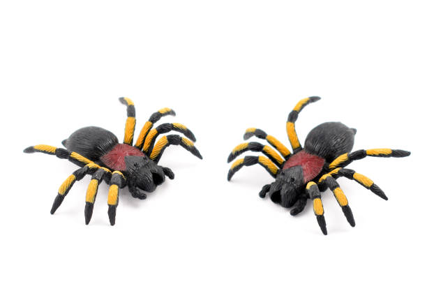 istock Spider toy stock images 994954162